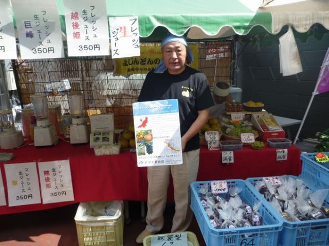 今日までが暑いそうです・・・ホントに？画像