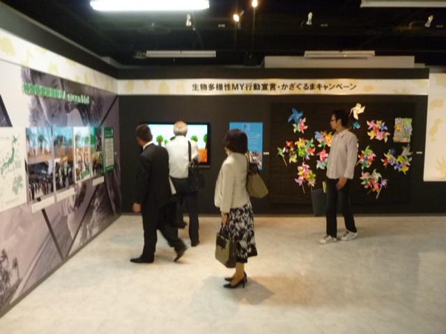 秋、一気に到来。雨、しとしと。画像