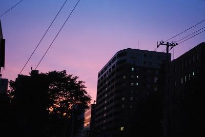 9/25 道案内おそうじ画像