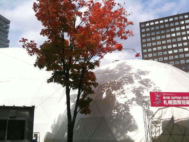 10/02秋ですね、がっつしおそうじですね画像