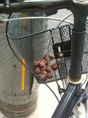 10/02秋ですね、がっつしおそうじですね画像