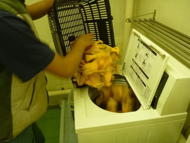 木枯らしにまけるな画像