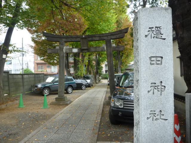 雨ですし、今日はのんびり。画像
