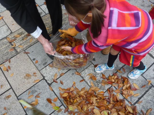 ピカピカケヤッキー落葉拾い大作戦＆道楽園さまよりご寄付！画像