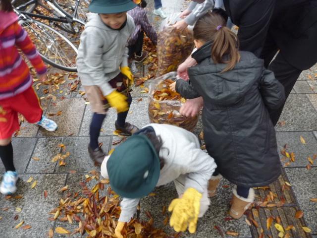 ピカピカケヤッキー落葉拾い大作戦＆道楽園さまよりご寄付！画像
