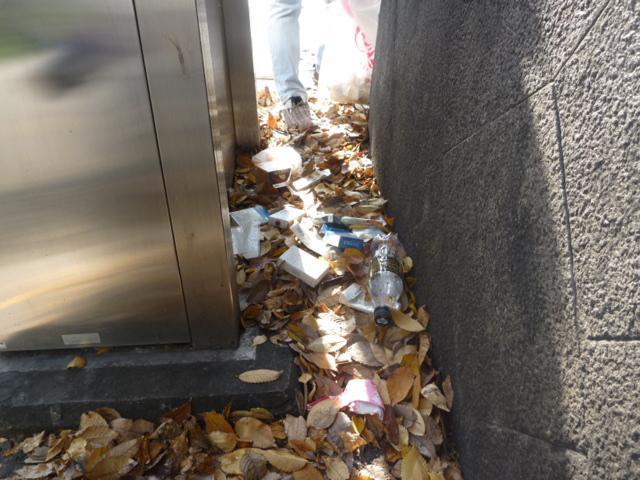 表参道イルミネーション2010、スタート！！画像