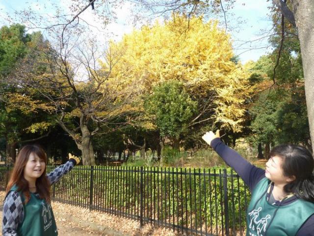 頼れる表参道レギュラーメンバー★画像