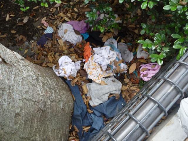 頼れる表参道レギュラーメンバー★画像