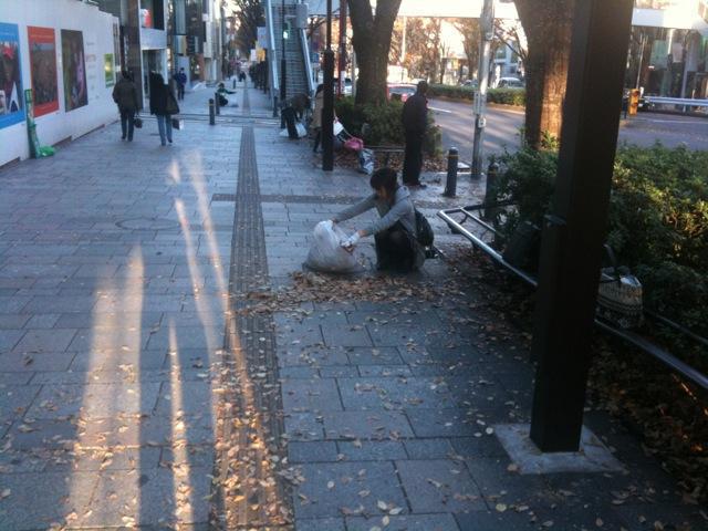 早朝落葉拾いのお手伝い画像