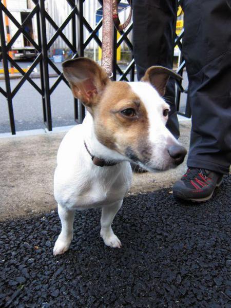 空気が冷たいけど快晴！画像