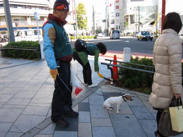 空気が冷たいけど快晴！画像