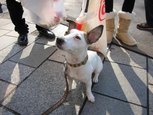 冬なのに19度画像