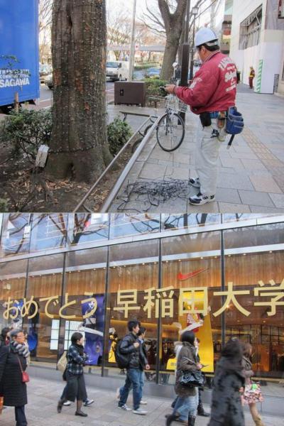 箱根駅伝、早稲田優勝おめでとう！画像