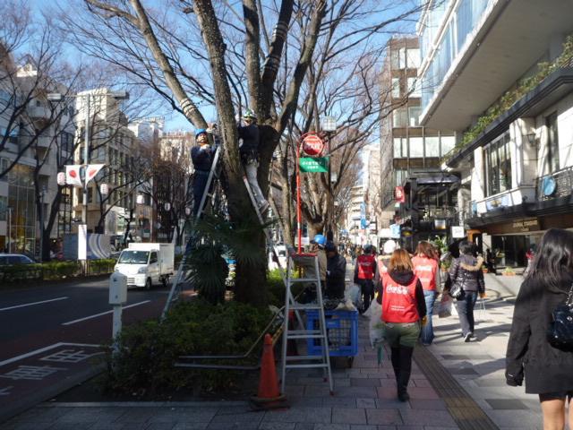 さとみちゃん＆たぐちくん、おめでとう。画像