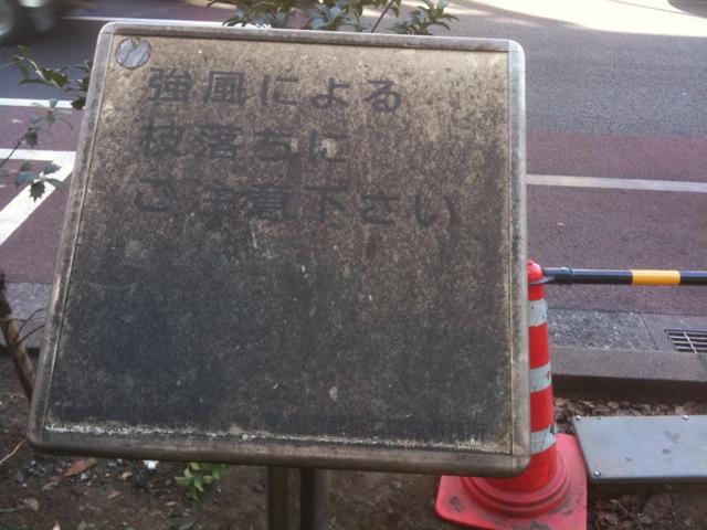 ゴシゴシ、ピカピカ、WOWWOW！画像