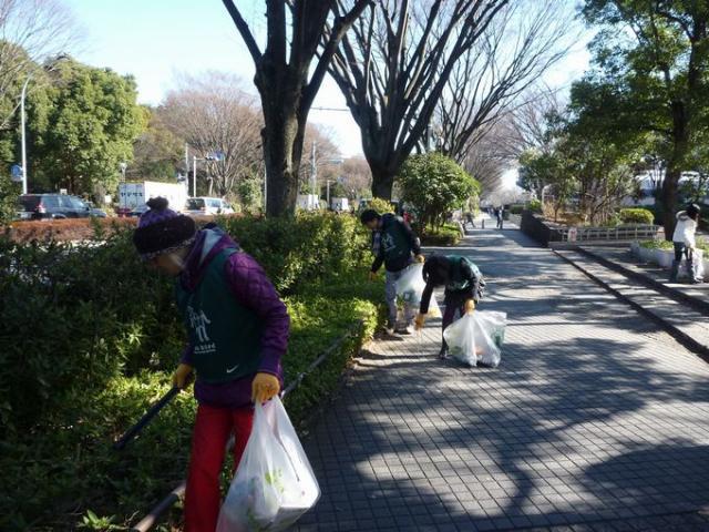 スターフォーメーション☆☆☆画像