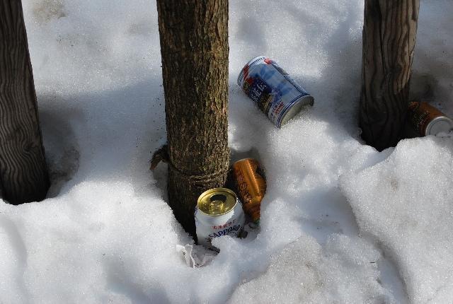 2/5 さむさむおそうじ！画像