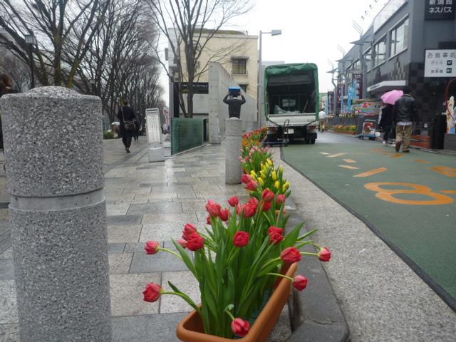 あめふりと、くもりぞらと、みんな。画像