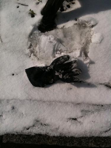 2/26 こな〜〜〜ゆき〜〜おそうじ。画像