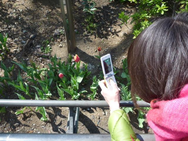 もうすぐ春です、みんなありがとう。画像