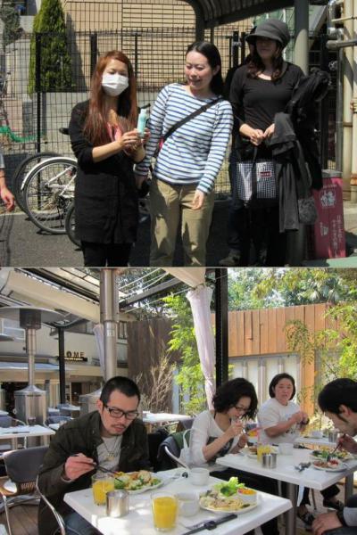 桜もいいけど、チューリプもね。画像