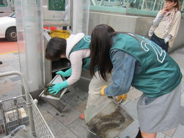 桜、満開です。画像