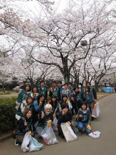桜、満開です。画像