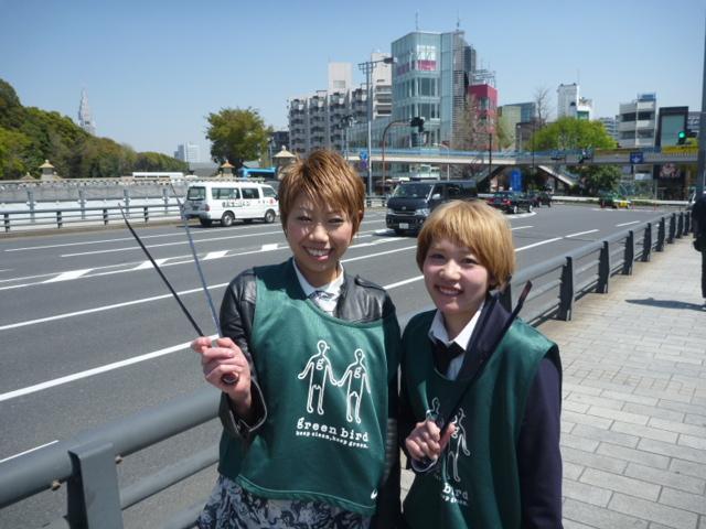 春だね。いや、もう夏だね。画像