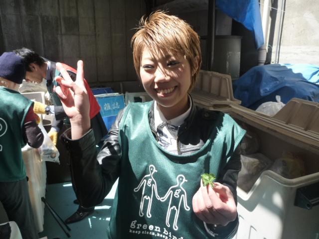 春だね。いや、もう夏だね。画像