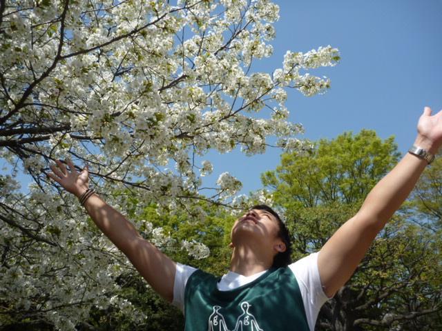 「春　ソフトクリーム　おそうじ」画像