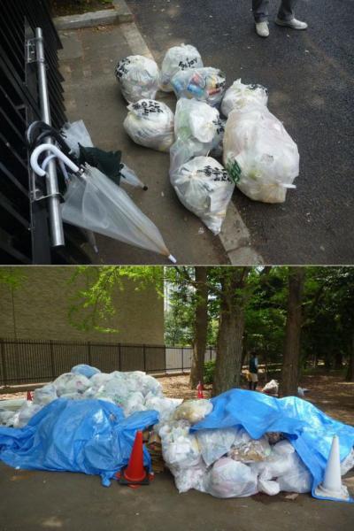 意外な参加者♪画像