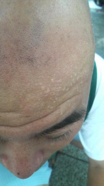 シャカリキですよ！画像