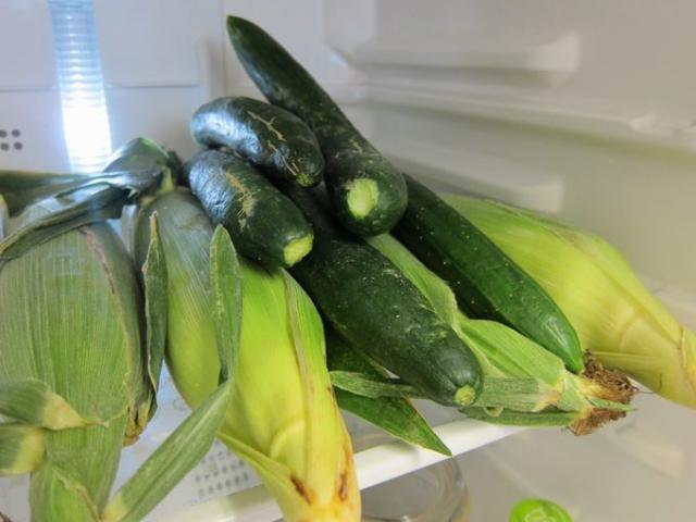 蒸しアツイ！！画像