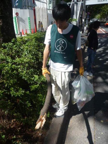 Rokeのつめあと画像