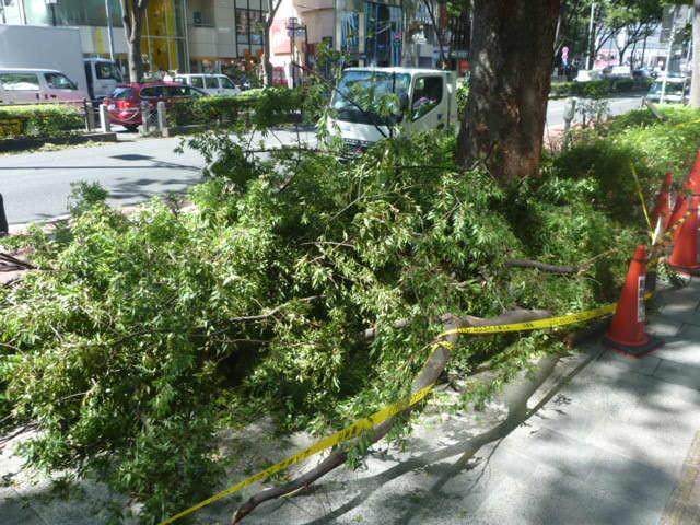 Rokeのつめあと画像