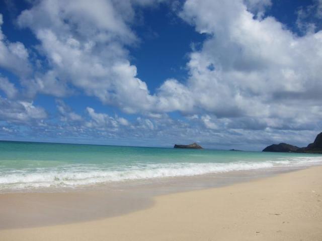 合言葉は有機。画像