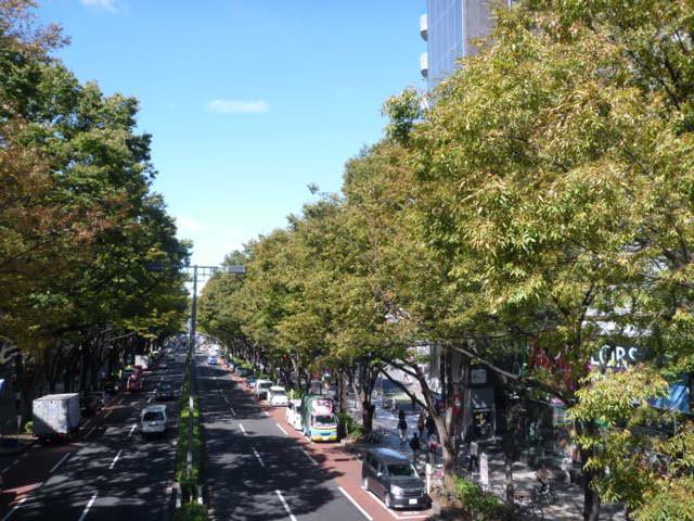 Thank you,steve.画像