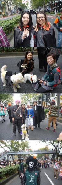 原宿表参道ハローハロウィーンパンプキンパレード2011に参加しました！画像