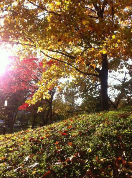 11/5 大量祭！画像