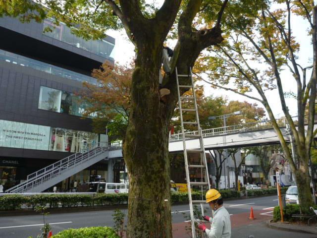 体調管理にきをつけて！画像