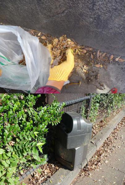 秋遠足みたいな秋散歩、秋そうじ画像