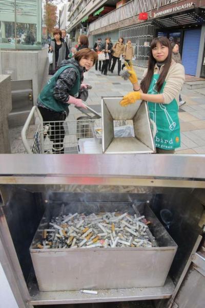 そうじ3連チャン！画像