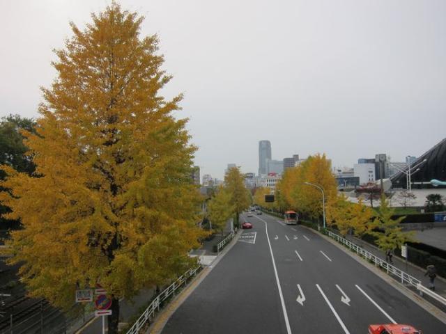 そうじ3連チャン！画像