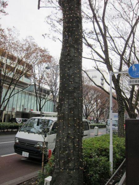 おおさわなおき33になりました画像