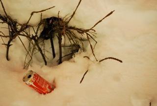 1/20 新年は二人でね★おそうじ画像