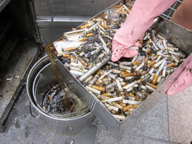 I LOVE HARAJUKU画像