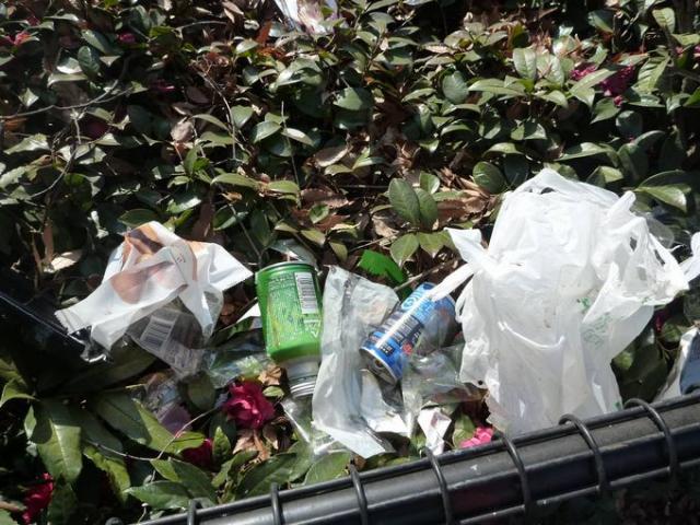 代々木公園方面へGO!画像