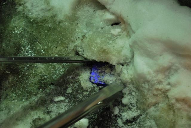 1/19 ドリ大チームと一緒に夜そうじ！画像