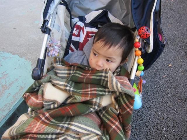 雪がまだ残る表参道画像