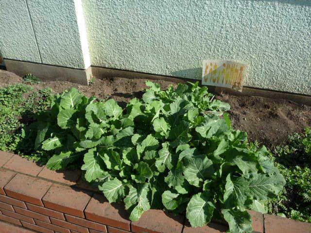 今年度最後のPPK！ありがとう表参道！画像